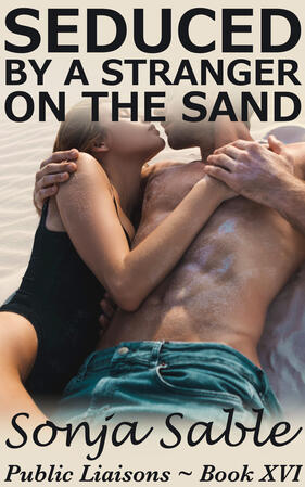 Seduced by a Stranger on the Sand: Public Liaisons Book XVI